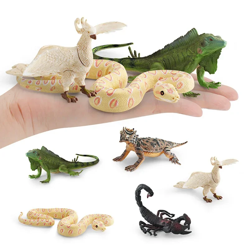 Figurines d'action miniatures d'iguane verte, phénix, scorpion, lézard à cornes, jouets éducatifs d'Auckland, quelque part chirurgie tionné, simulation