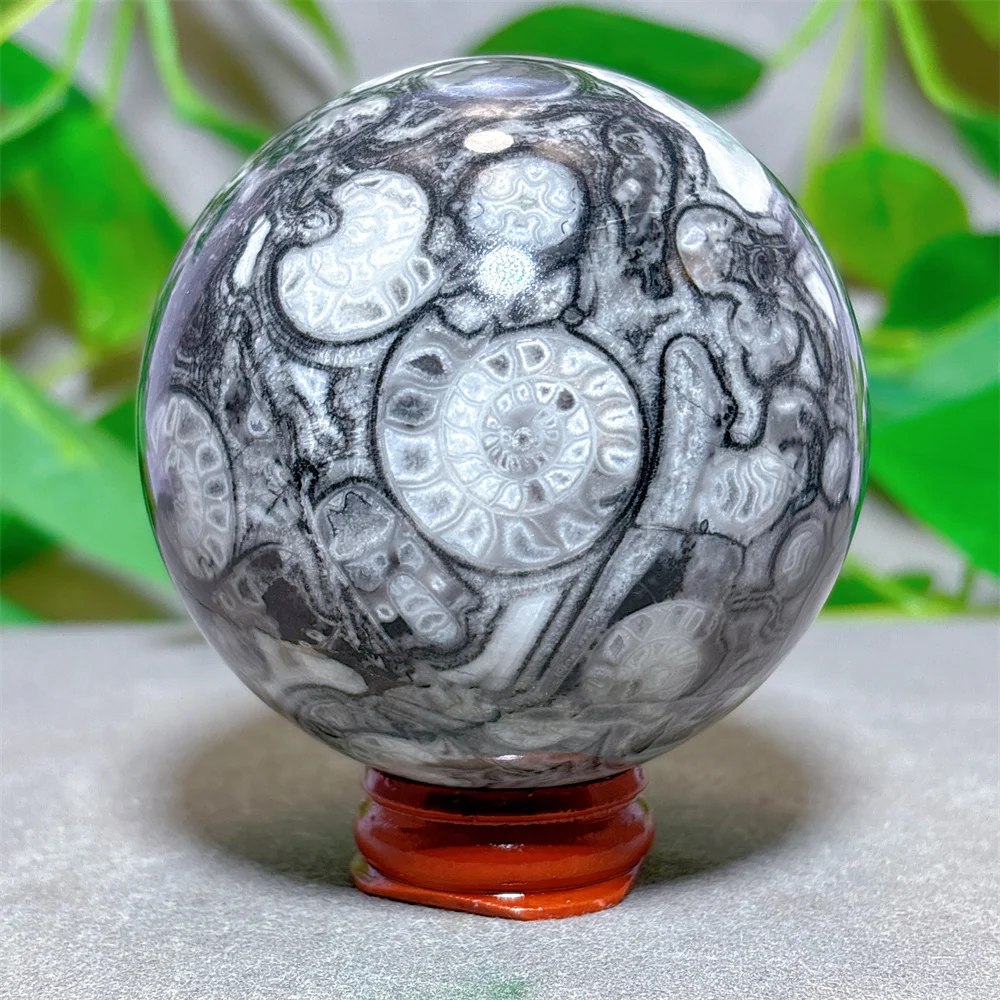 Shellstone Sphere Crystal Natural Stone Quartz Stone Minerals Home Decoration Reiki Energy Healing Spiritual Fortunate +Stand