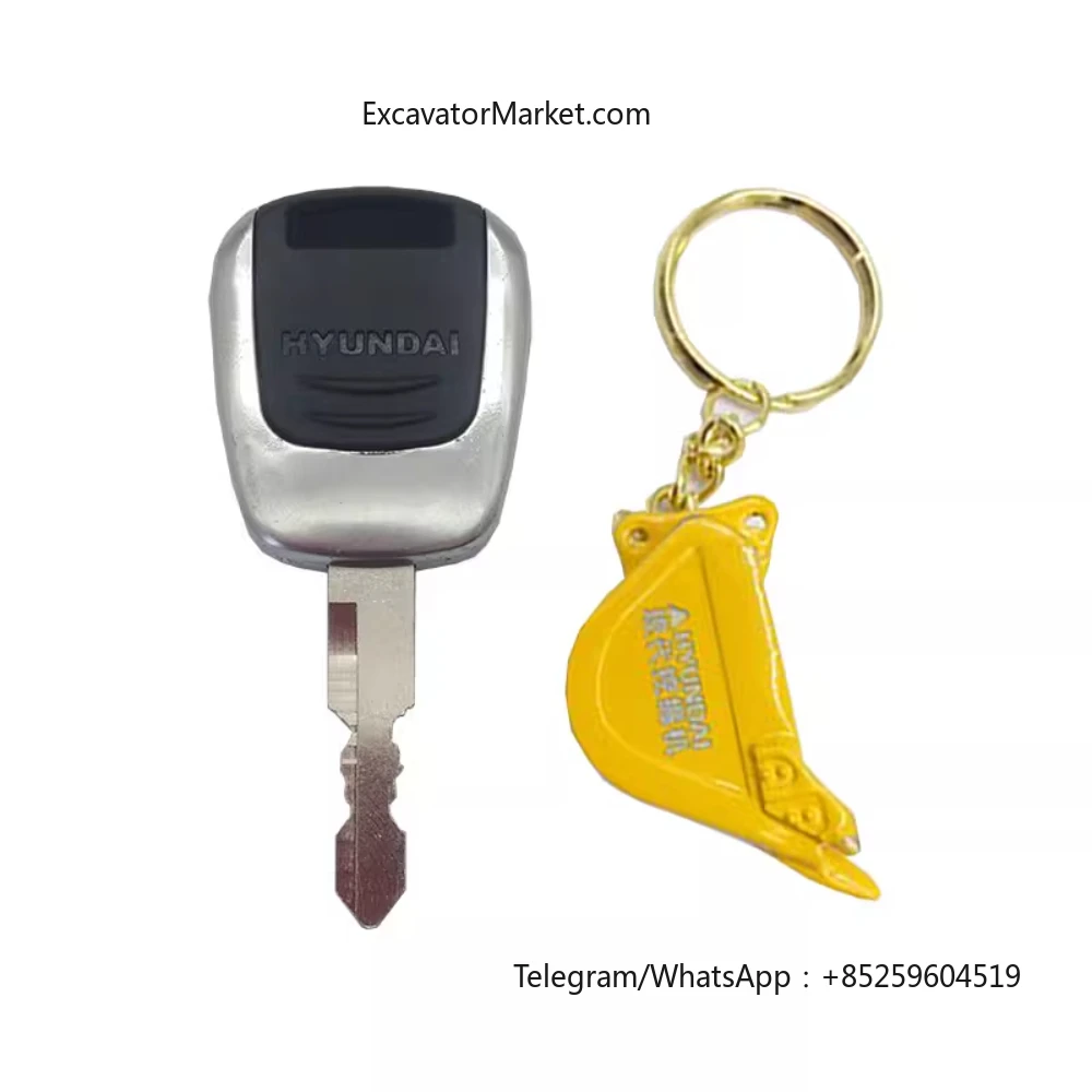 Excavator Accessories For Hyundai excavator key 80/110/150/215/225/215/305 VS-9 door start ignition key