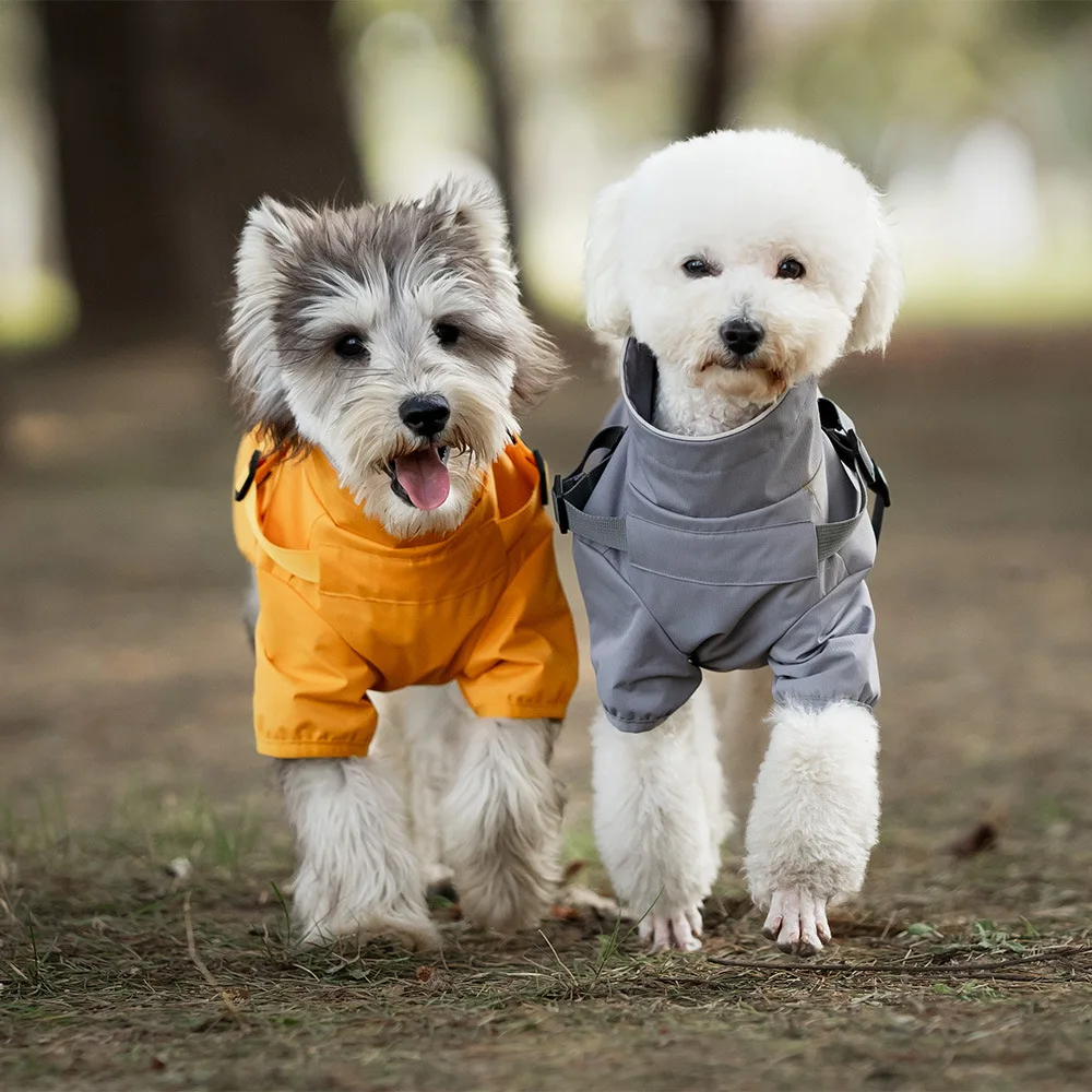 

Towable dog raincoat with two legs, Teddy bear waterproof dog raincoat, reflective adjustable new pet suit