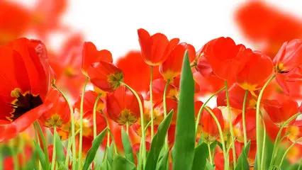 

Remote Control Crawlers Car Steering Knuckles Set Detachable 1/10 Car Parts