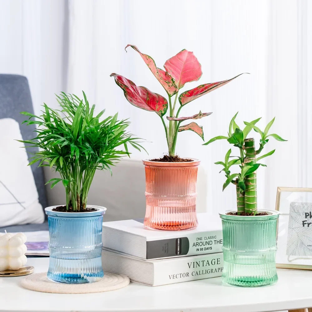 Self Watering Flowerpot Automatic Water Absorbing Flowerpot Double Layer Transparent Plastic Succulent Plant Pot Decorative Pot