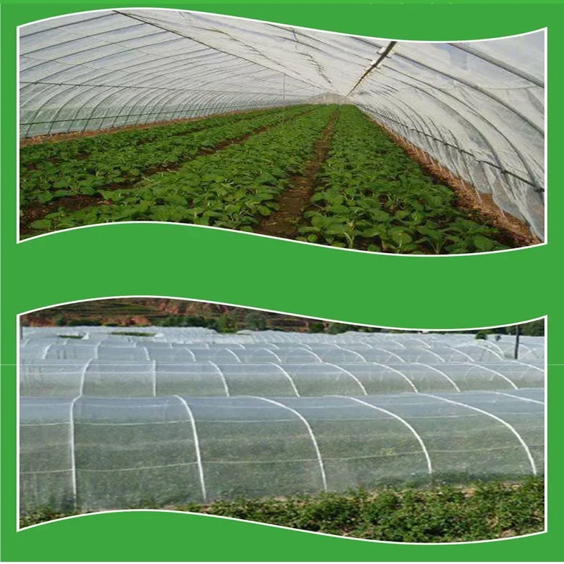 Plant Vegetables Insect Protection Net Garden Fruit Care Cover Flowers Greenhouse Protective Net Pest Control Anti-Bird 60 Meshs