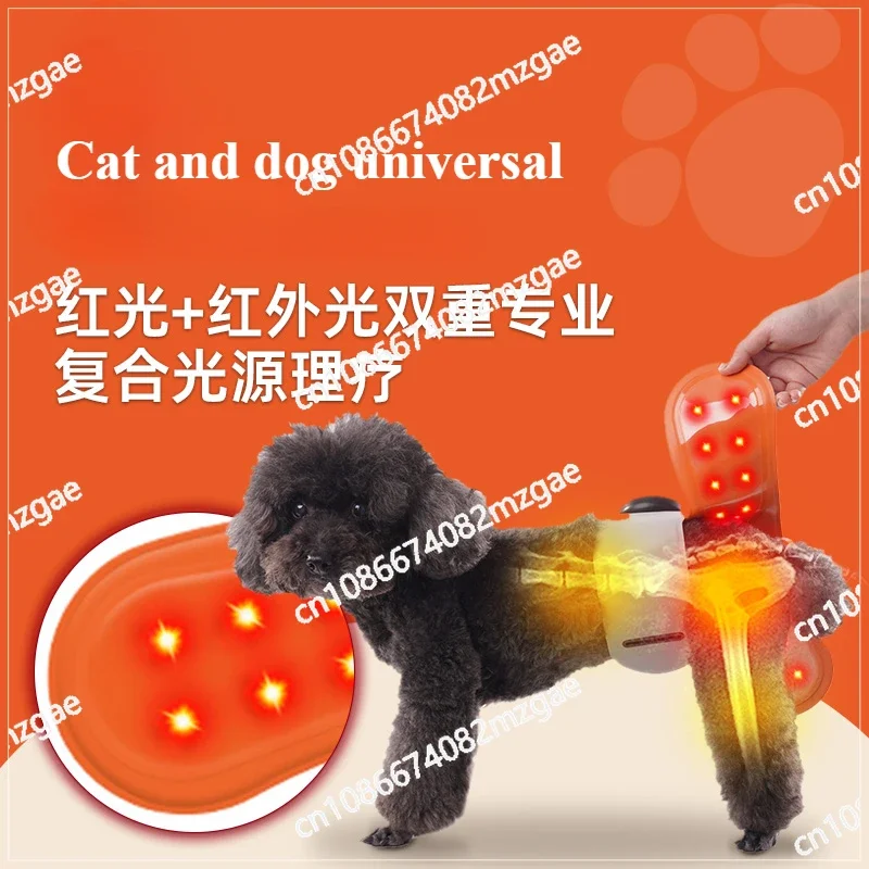 Pet Hind Limb Back Physiotherapy Instrument Elderly Fracture Cat Dog Rehabilitation Daily Necessities