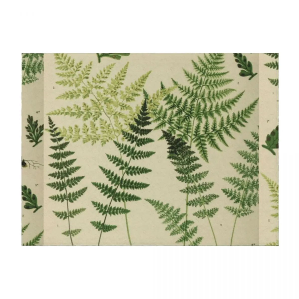 

Botanical Ferns Throw Blanket Nap Quilt Luxury Throw Blankets