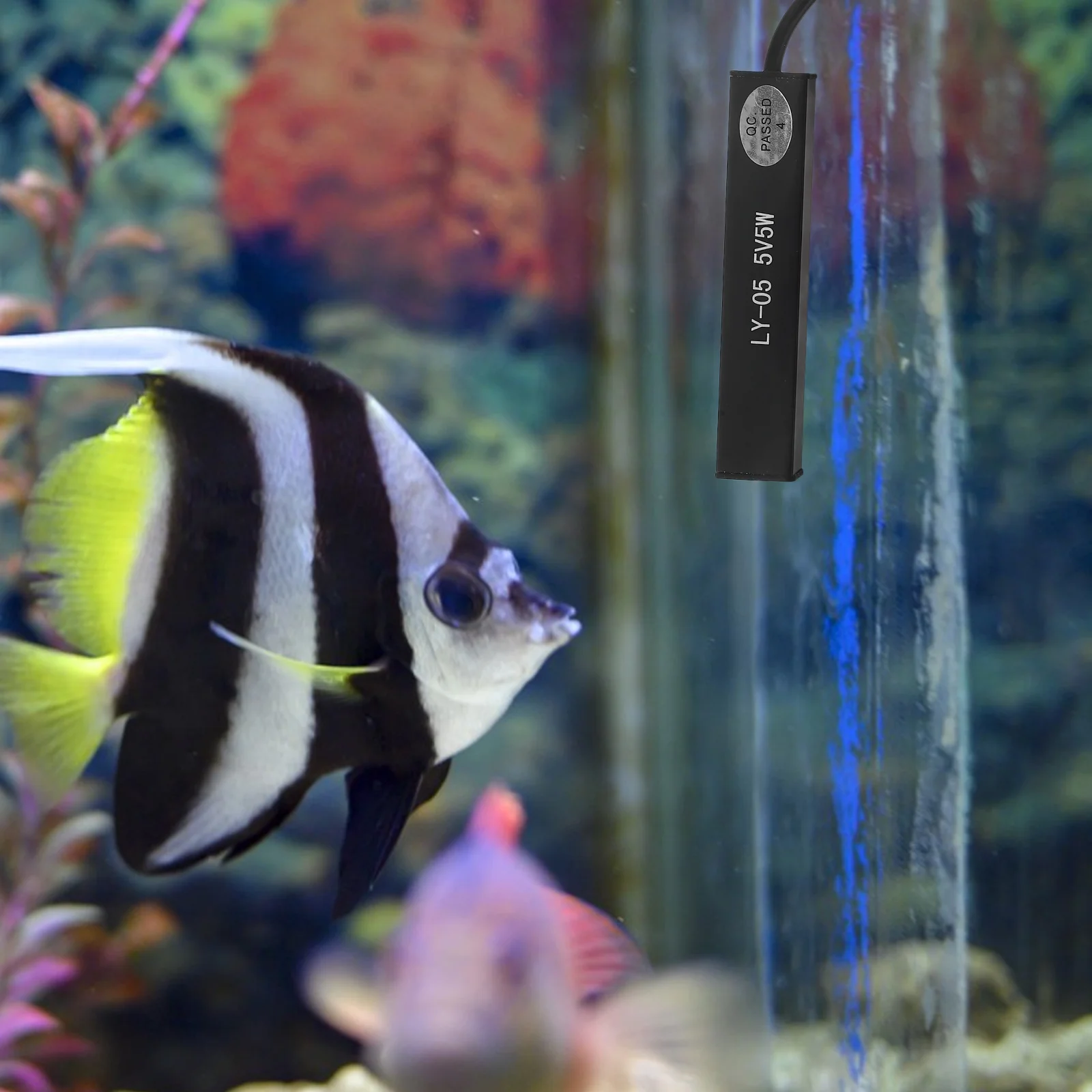 

Automatic 5W USB Heater for Fish Tank Mini Aquarium Water Heater Suction Cup Easy Install Pond Heaters for Small Ponds