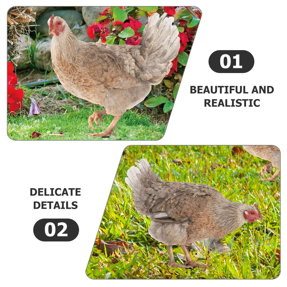 

4Pcs Garden Hen Stake Decoration Lifelike Chicken Yard Insert for Outdoor Garden Lawn Ornament Sturdy Acrylic Stake Decor