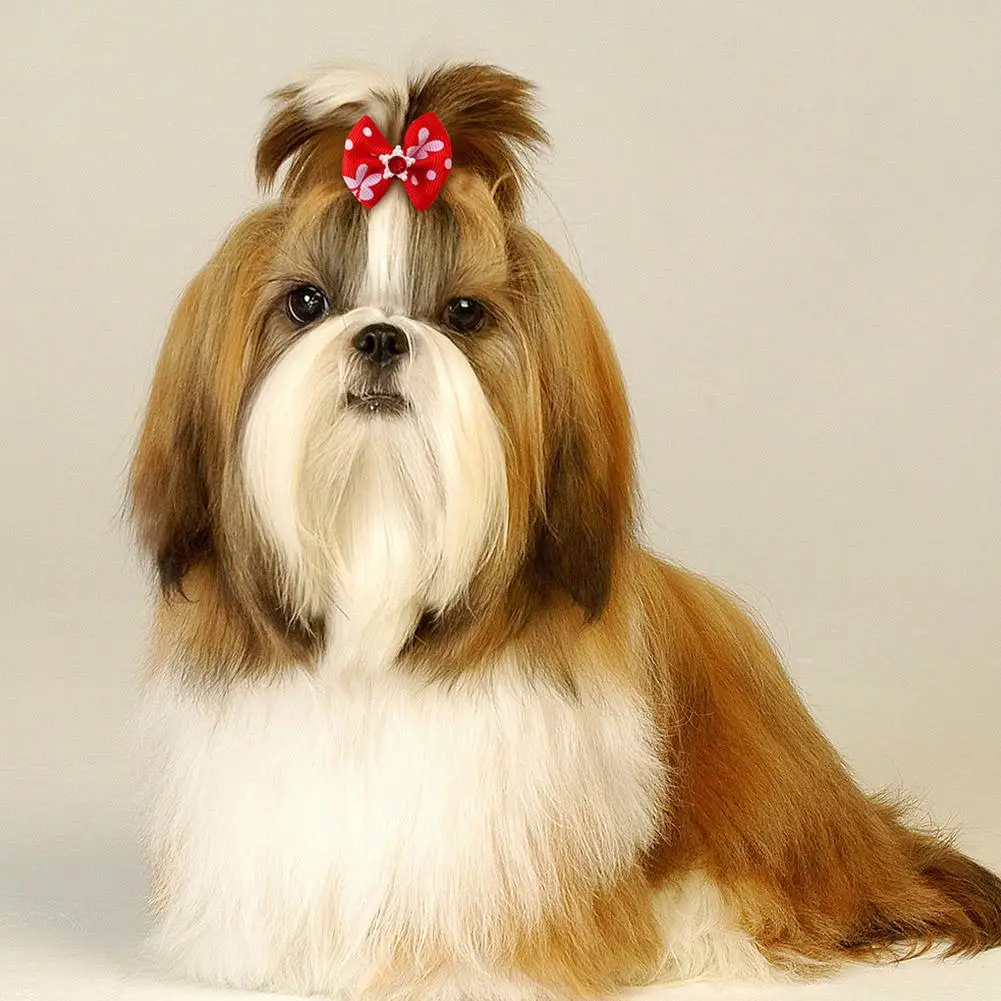 Accessori per capelli per animali domestici Copricapo con fiocco Fascia per capelli Accessori per gatti Stile principessa Accessori creativi Copricapo per capelli Abito per cani P3Z4