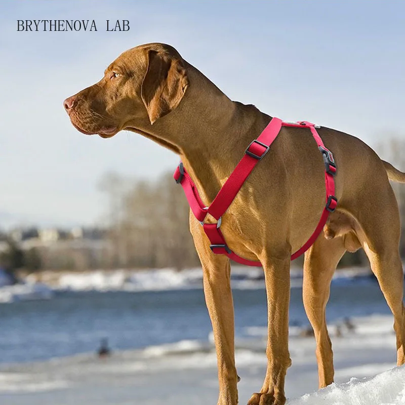 Leisure H-shaped Dog Pectoral Collar Dog Harnesses for Small Dogs Medium and Pitbull Large Pug Vest Strap Collar for Dogs