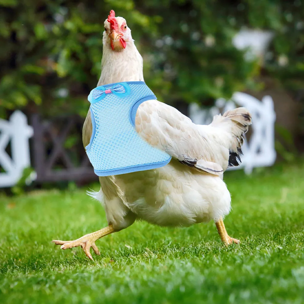 

3 Sets Chicken Leash Harness Practical Durable Long Term Use Even Pressure Small Light Hen Traction Rope Pet Supplies Outdoor