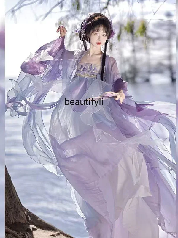 Tang Cheko Skirt Women's Han Chinese Clothing Fairy Broken Sleeves Chinese Traditional Han Clothing Embroidery