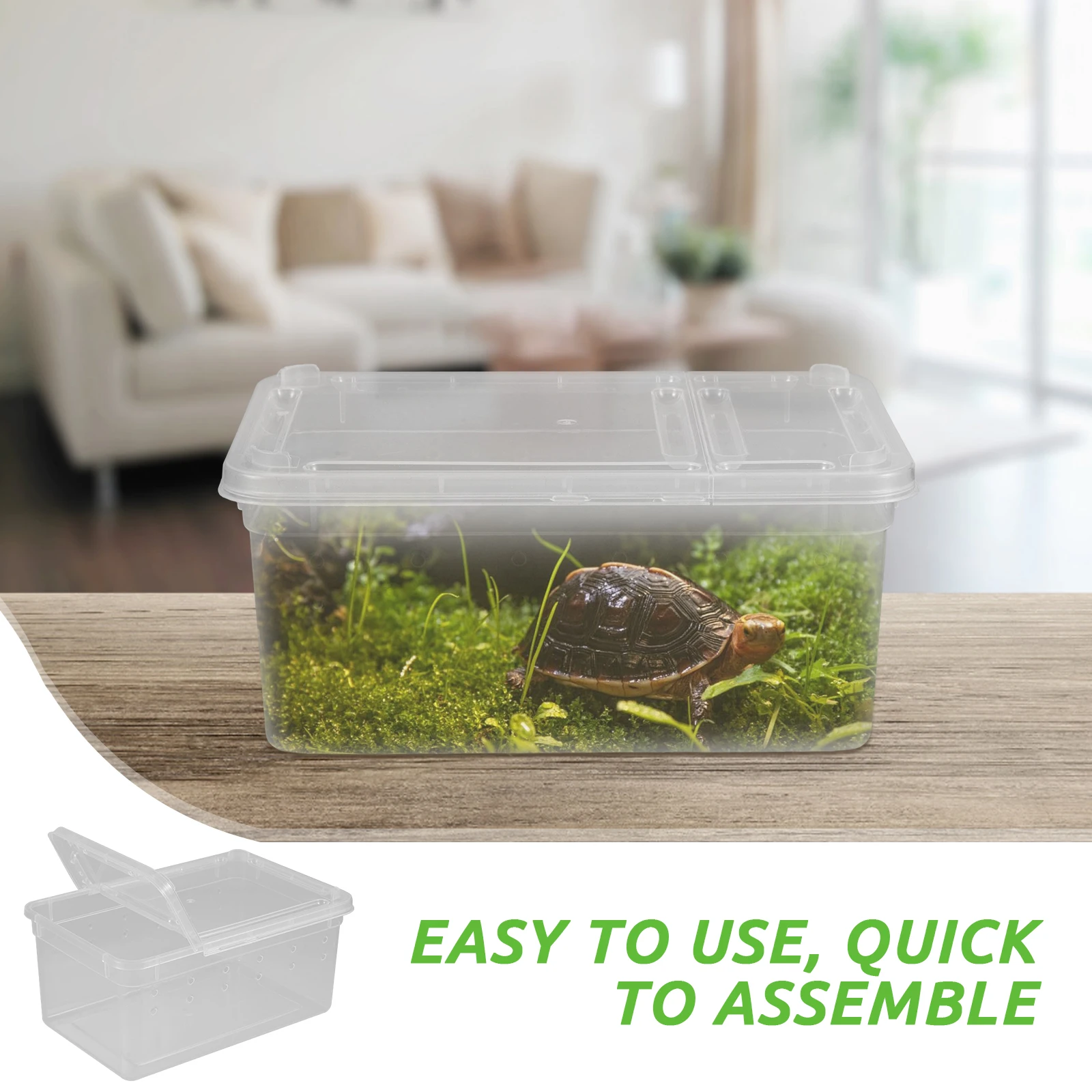 

Reptile Feeding Box Compact Breeding Container for Spiders Lizards Turtles Frogs Snakes Small Animals Habitat Terrarium Reptile