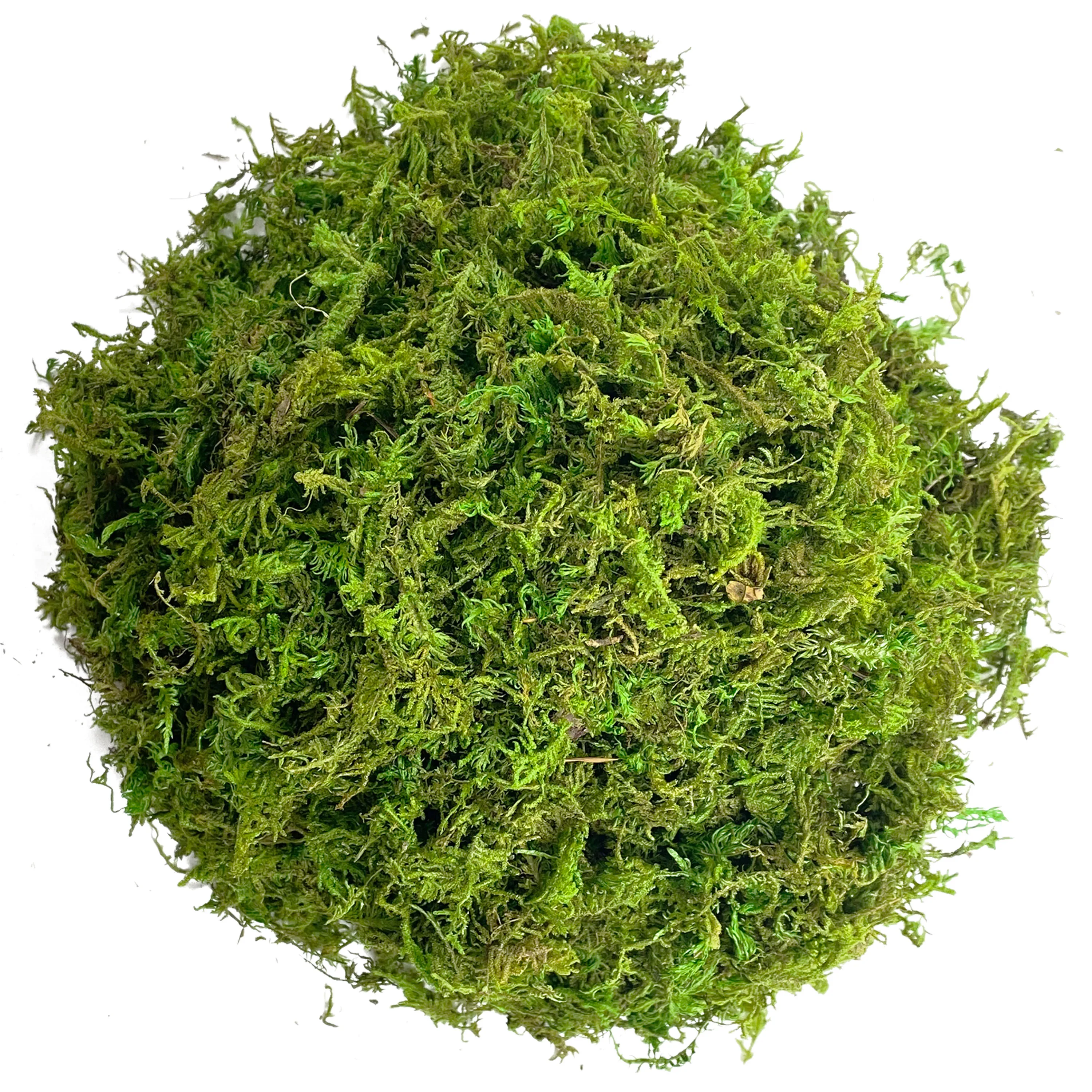 Kunstmatig mosgroen voor potplanten Orchidee Oppotmix Turf Mospaal Craft