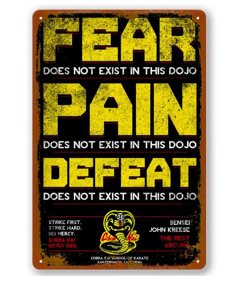 Fear, Pain, Defeat Does Not Exist In This Dojo Vintage Tin Sign Wall Decor For Wall Art Pub Bar Decor Coffee Cup Signs Size 