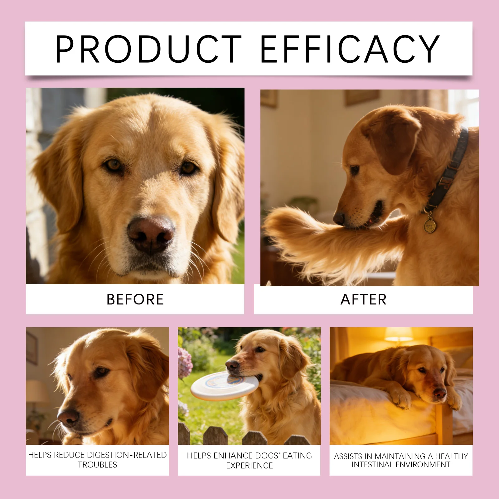 Dog Collagen Liquid Drops Enhance Joint Flexibility Strengthen Bone Improve Skin Condition Mild Daily Dog Nutritional Supplement 4