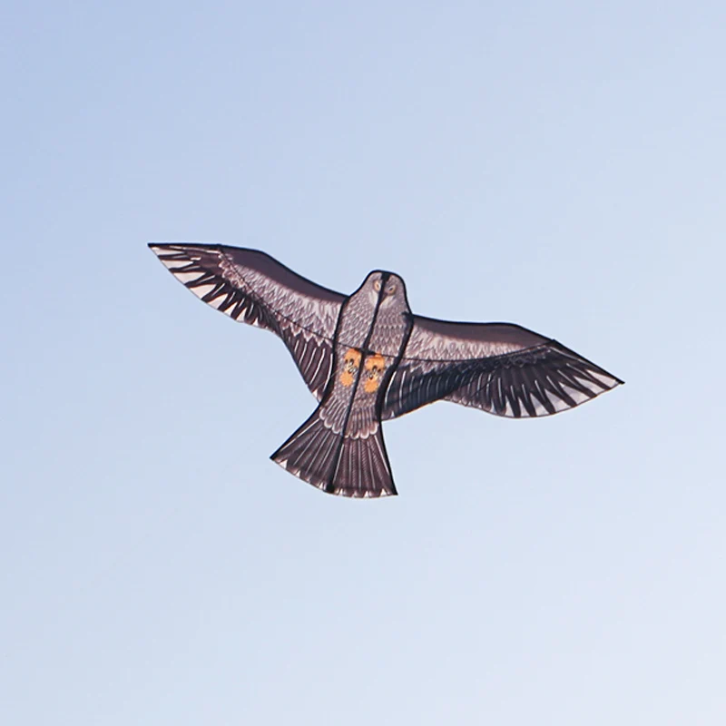 Paradise Bird 1,5 m Eagle Kite met 100 m handvat Lijn Hawk Kite Outdoor Speelgoed voor kinderen/volwassenen Outdoor Sport Dierenvliegers