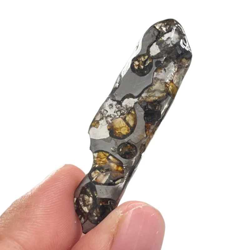 Natural Seymchan Pallasite Meteorite Elongated Irregular Slice Hand Polished Olivine Meteorite Specimen Collector Gift TA839