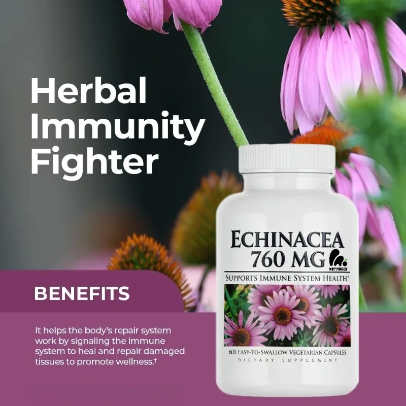 Purple Cone Chrysanthemum 760mg Dietary Supplement - Fully Natural Immune System Support -60 Capsules