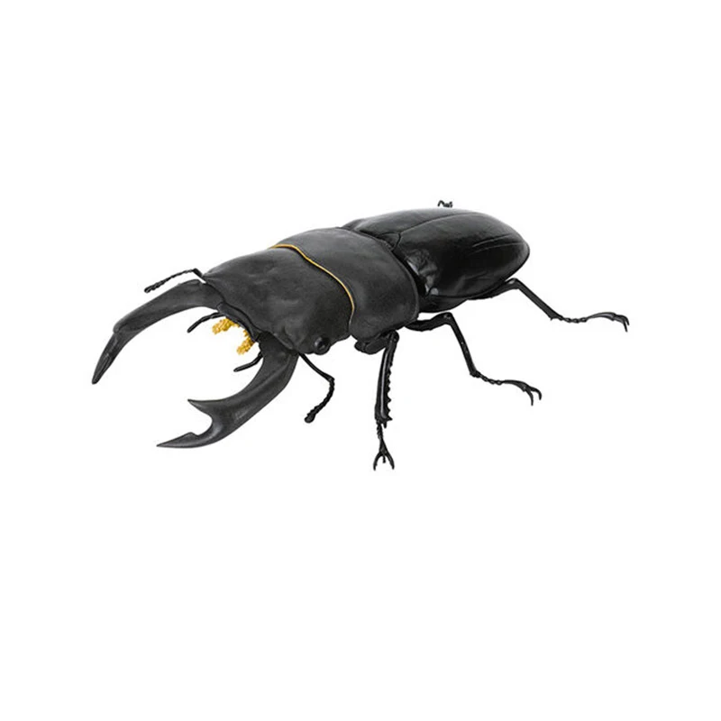 Kolekcja figurek anime BANDAI Original Toys Ikemono Taisyou ADVANCE Gacha Lucky Draw Allomyrinadichotoma