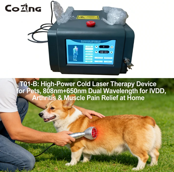 

Новый ветеринарный физиотерапевтический лазер 2025 года, 808 нм + 650 нм, холодный лазер для собак при IVDD, нехирургическое домашнее лечение боли