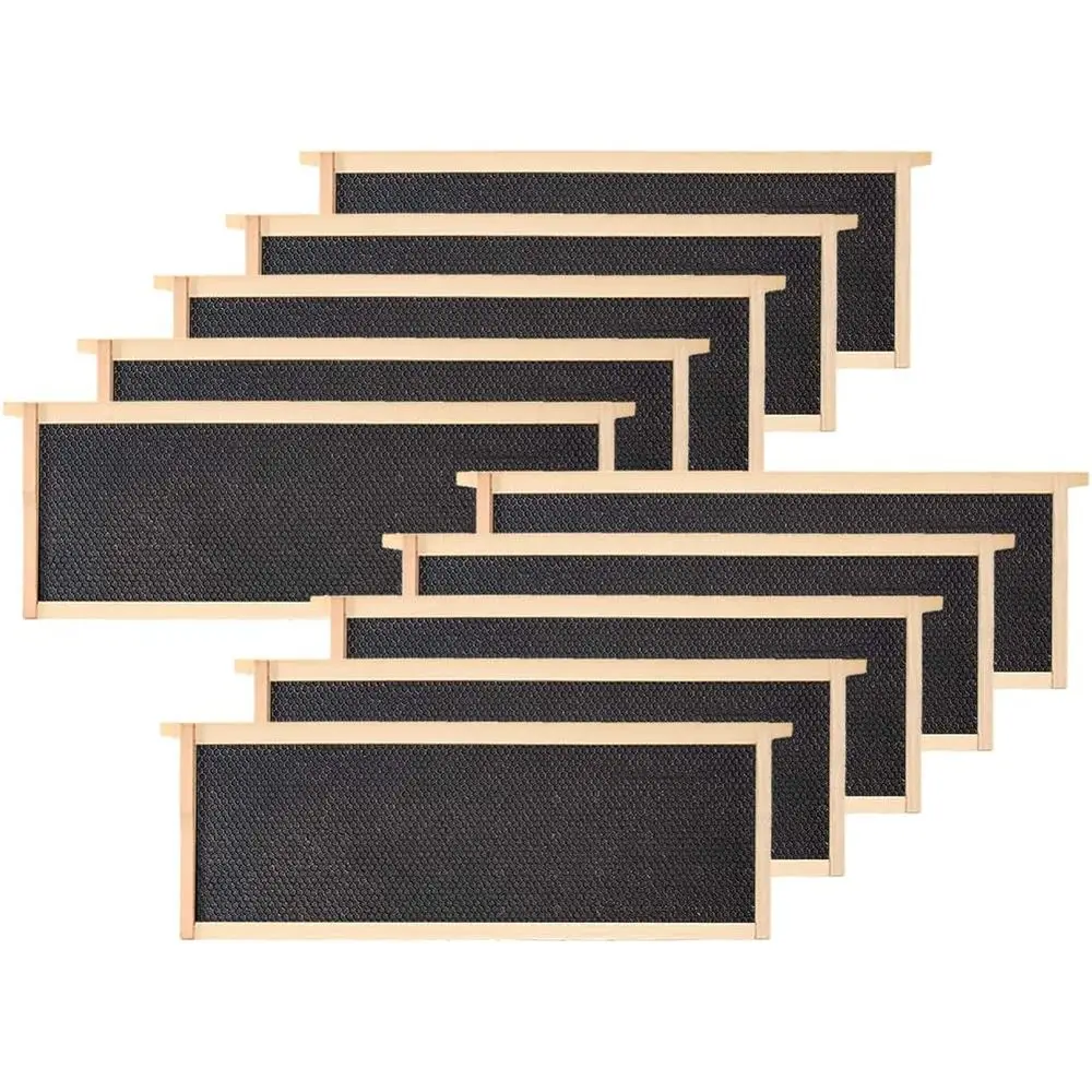 

Набор из 10 средних ватных шариков-аппликаторов Castle с деревянными основаниями и 100% восковым покрытием, 6-1/4 дюйма (черные)