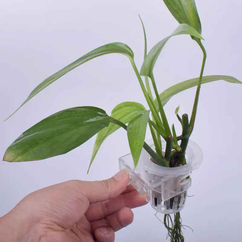 yZ[zA݂艺z_[߉\Ȑv^[Jbvtكv^[Jbv Aquascape p