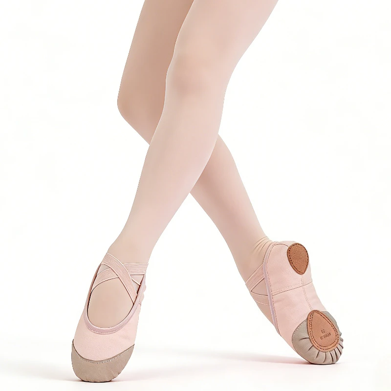 

Ballet Shoes for Girls Ladies Soft Sole Leather Canvas Upper Professional Ballet Flats for Dance Ballerina Shoes