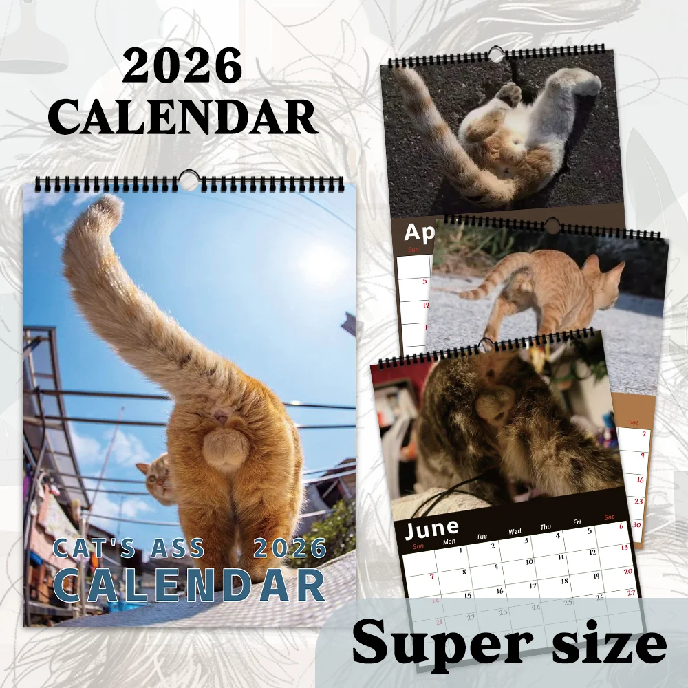 قطعة واحدة من تقويم الحائط المضحك على شكل قطة - موضوع القطط الأليفة، 12 تصميمًا مختلفًا، مناسب كهدية لأعياد الميلاد وعيد الميلاد ورأس السنة الجديدة #4