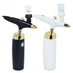 Home Use Skin Care and Beauty Salon OEM Mist Nano Facial Oxygen Injector Jet Gun Skin Nourishing Sprayer