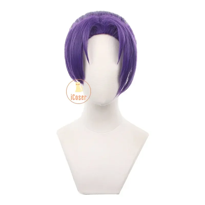 Anime Blue Lock Mikage Reo Cosplay Wig Purple Ponytail Hair Team V No.9 Football Player Seishiro Nagi Halloween Accessory Men UY