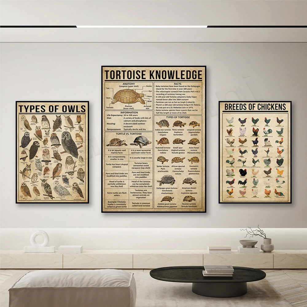 Farm Chicken Breeds Knowledge Poster, Turtle Knowledge Poster, Owl Species Poster, Barn Owl Knowledge Poster, Animal Poster