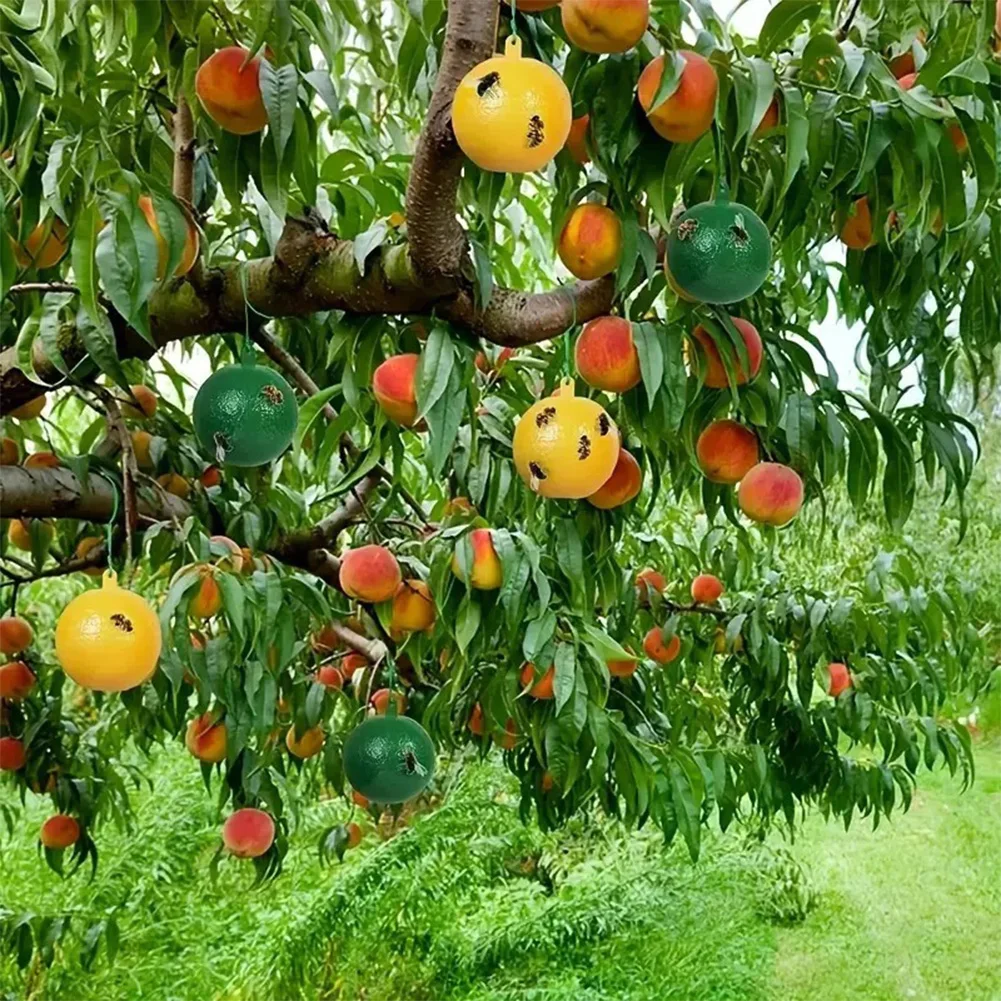 10 Trampas Adhesivas para Moscas de la Fruta en Forma de Bola para Plantas y Árboles de Interior y Exterior
