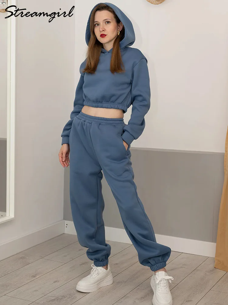 Winter Thick Fleece Pants Set Women Warm Suits Cropped Hoodie Sweatpant 2 Piece Set Outfit Velvet Track Suit For Women Winter