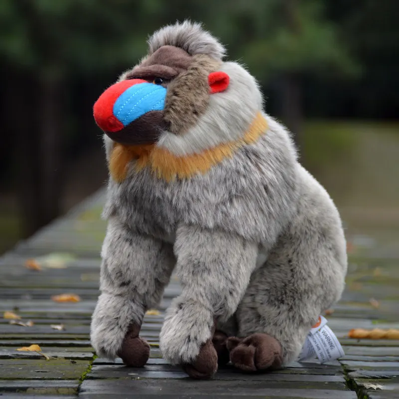 L25xH26cm Cute Realistic Baboon Plush Toy Export-Quality Monkey Doll Primate Baboon Plush Birthday Gift Present