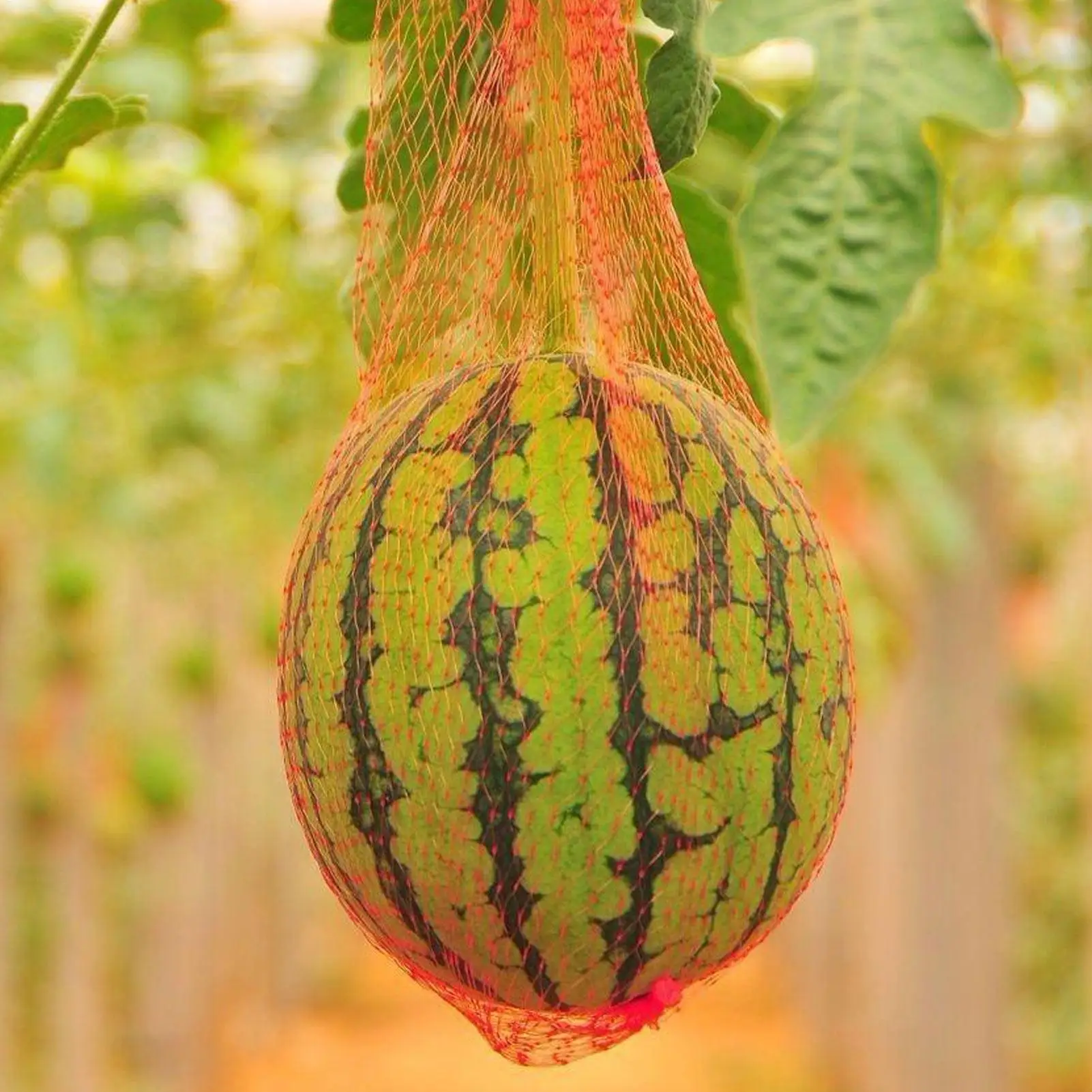 100 Pieces of Heavy-Duty Plastic Garden Netting Suitable forWatermelon Vertical Planting and Hammock with Straps