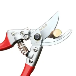 Fruit tree pruning scissors Pruning shears pruning scissors SK5