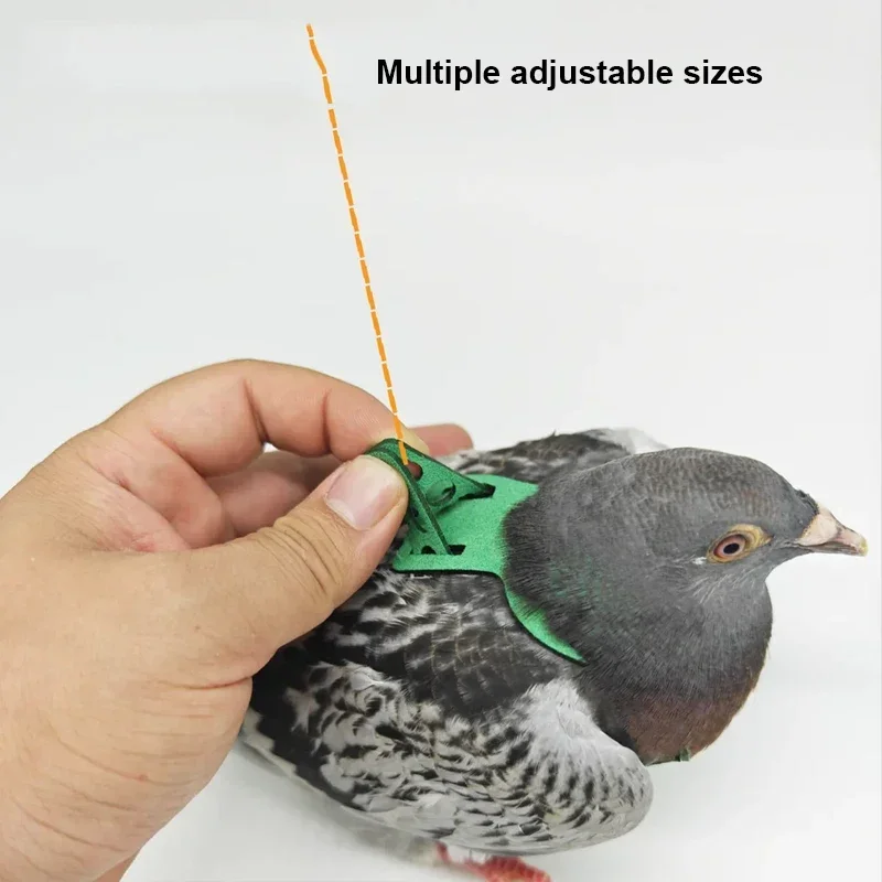 Parrot Pigeon Harness And Leash Flying Anti-bite Traction Rope Straps Bird Training Outdoor Carrying Adjustable Bird Pet Product