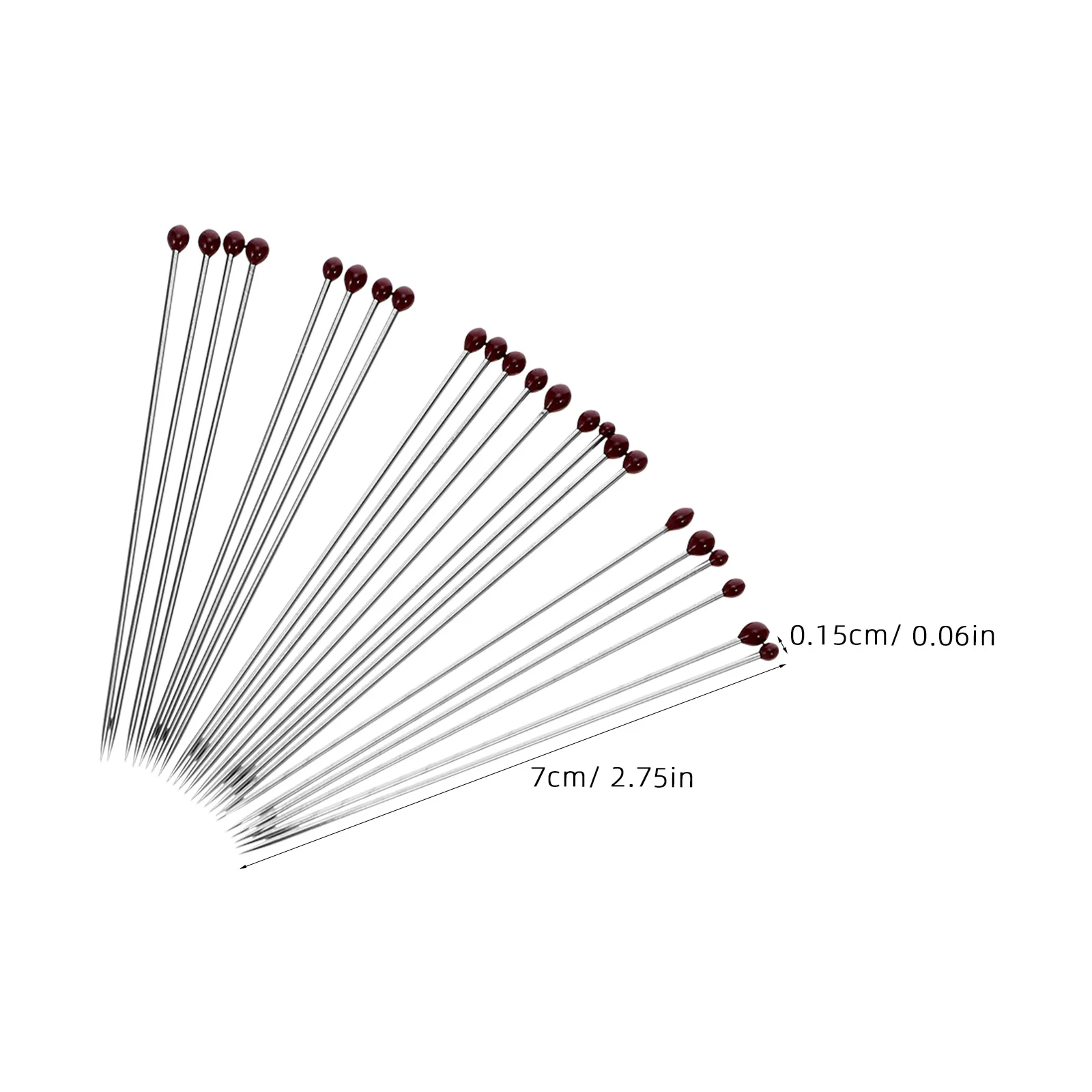 300Pcs Insect Specimen Pin Stainless Steel Rustproof Butterfly Needle for Entomology Display School Lab Educational Use