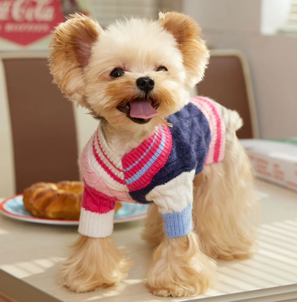 Dog and Cat Sweater, Pet Clothes, Autumn and Winter, New, 2023