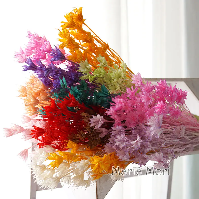 35g/Colorful Natural Dried Octagonal Flower Dye for Botanical Art Deco Office Home DIY Material Flower Arrangement