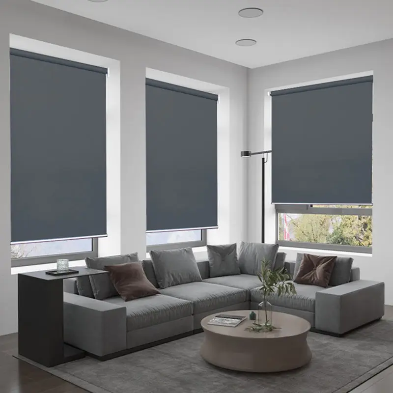 Pet-Safe Cordless Roller Blinds, Damage-Free Install Blackout Thermal Window Treatments