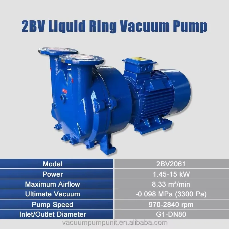 2BV 2060 Marine Single-Stage Electric Low Pressure Water Ring Vacuum Pump Clean Water Automotive Industry Stainless