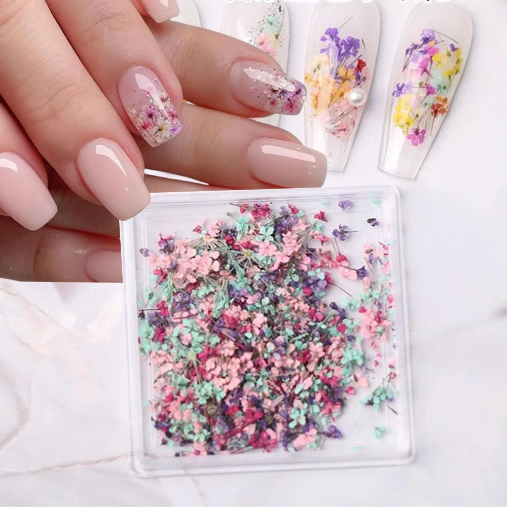 Mixed Color Dried Flowers for Nails Design Stickers Colorful Dried Flower Decoration Decal Floral Manicure Accessories Parts