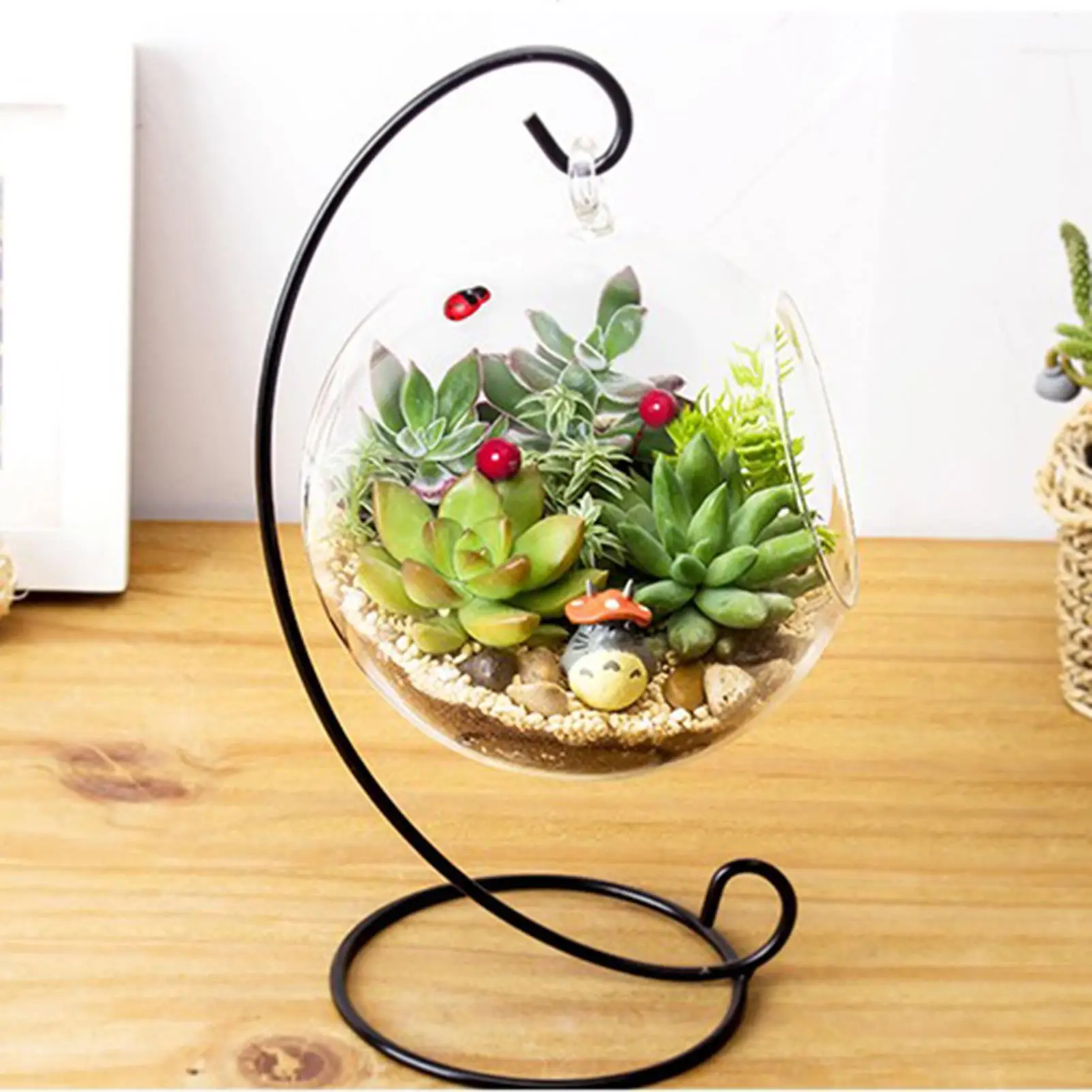 Large Hanging Glass Vase Terrarium with Frame - Succulent Planters for home & Office Decor