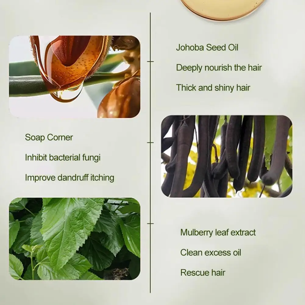 

Platycladus Orientalis And Polygonum Multiflorum Thunb. Natural Shampoo And Hair Care Soap Control Oil And Dandruff Repair