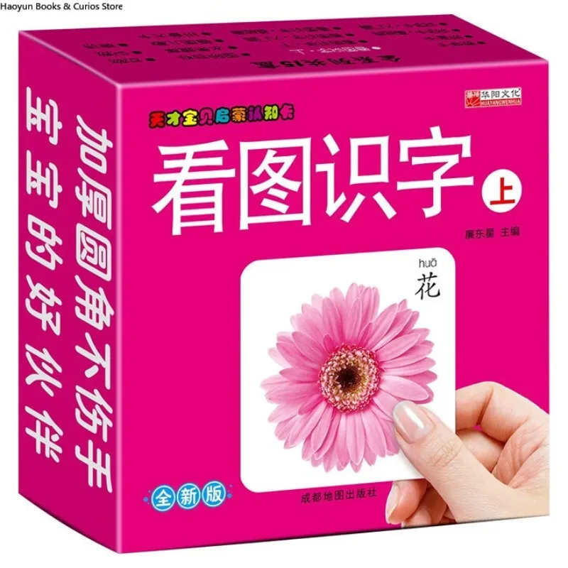 بطاقات الكلمات المصورة - المجلد 1: التعلم المرئي مع بطاقات تعليمية سميكة ومقاومة للتمزق للأطفال الصغار