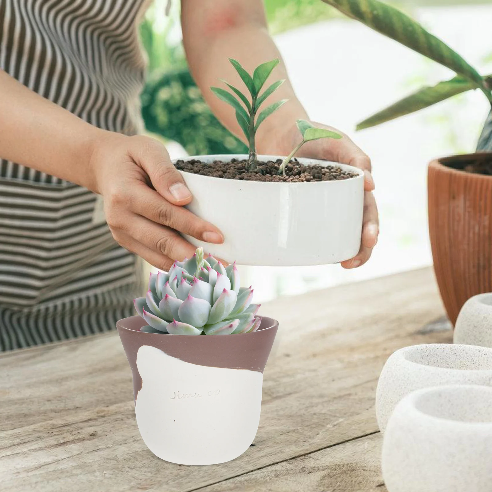 

Mini Ceramic Flower Pot Plant Pots Outdoor with Holes Succulent Small Ceramics Planters for Indoor Plants