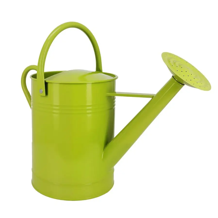 

Iron Watering Can for Indoor Plants, DIY Watering Cans for House Plant Garden Flower, Long Spout Water Can for Outdoor Watering