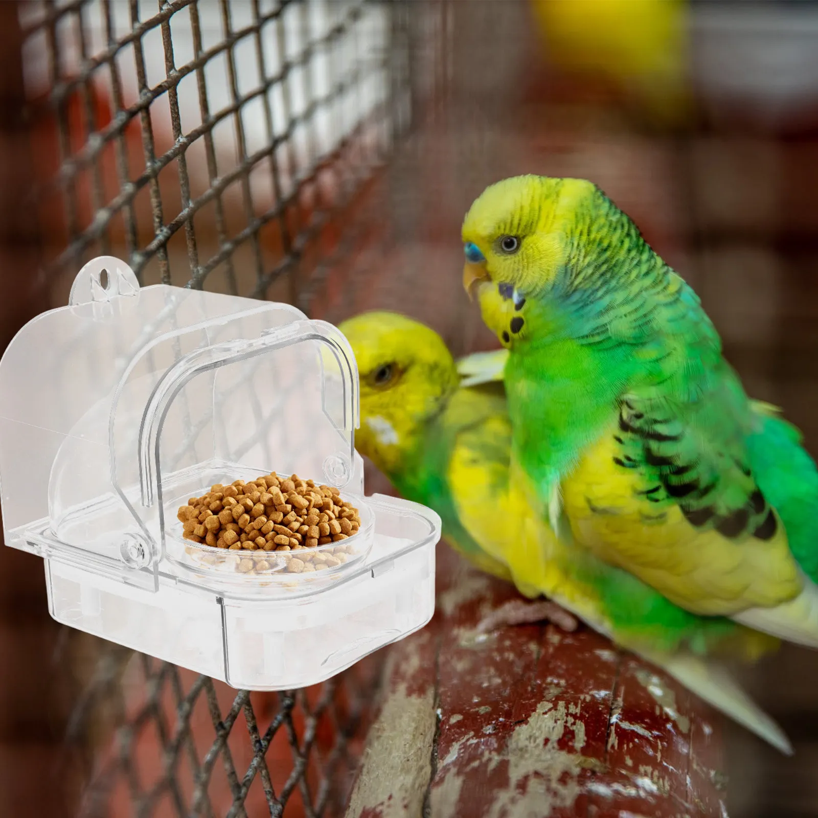 Automatic Parrot Feeder Large Capacity Spill-Proof Shell Separation Transparent Food Storage Container