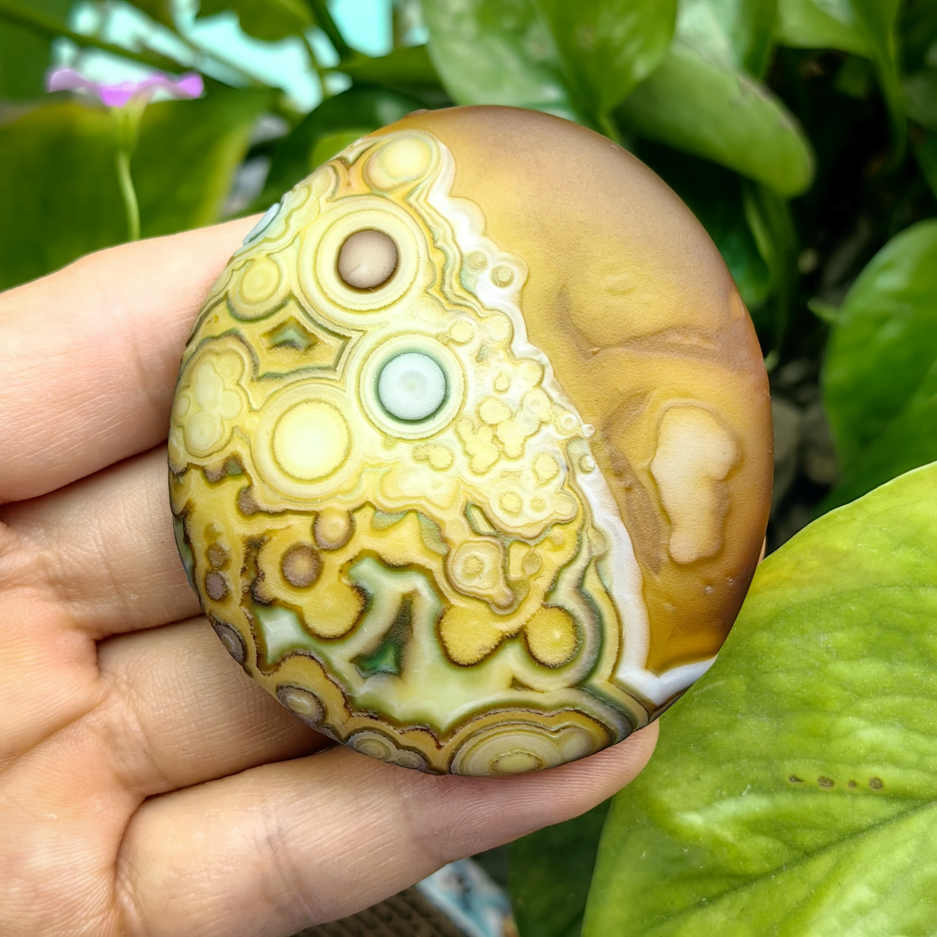Gobi Desert Natural Agate Stone with Organic Eye MotifsRich Layered Colors from Yellow to Grey-Green Perfect for Nature Collect